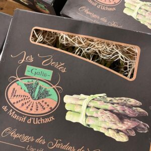 Asparagus Green Premium (Galis)