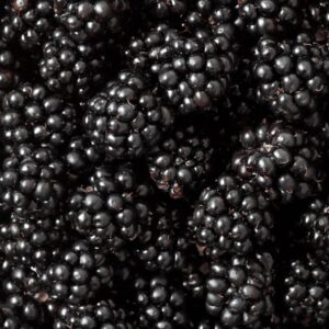 Raspberry Black