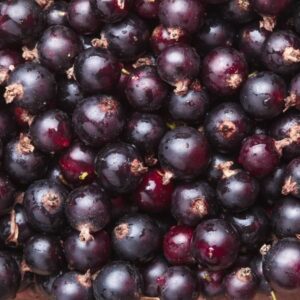 Blackcurrant