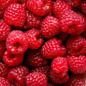 Raspberry