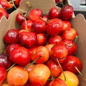 Cherries Bicolor  28+