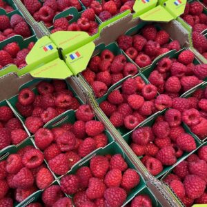 Raspberry Talumeen