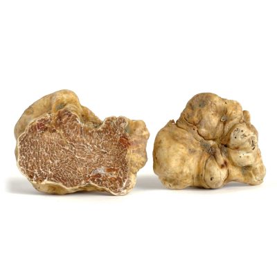 36261-0w0h0_Truffes_Blanche_Alba_Fraiches_Tuber_Magnatum_Pico