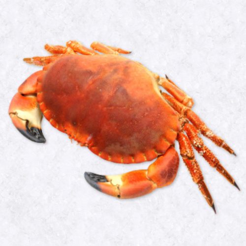 45856