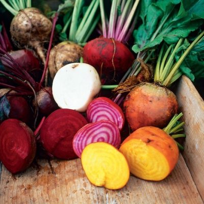 4643773329_e84829b56a_b