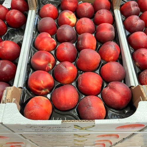 490049-Nectarine-White-Canard-des-Clairettes-C1