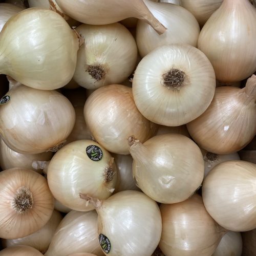490056-Onions-Sweet-Cevennes-P1