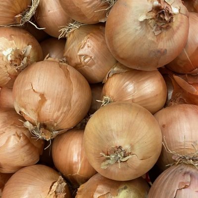 490069-Onions-Yellow-P1