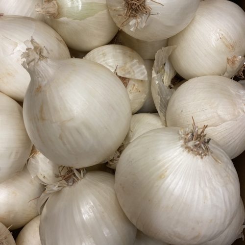 490071-Onions-White-P1