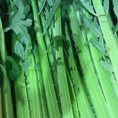 490076-Celery-Branch-P1