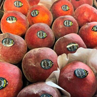 490080-Peach-Yellow-La-Kaliste-P1