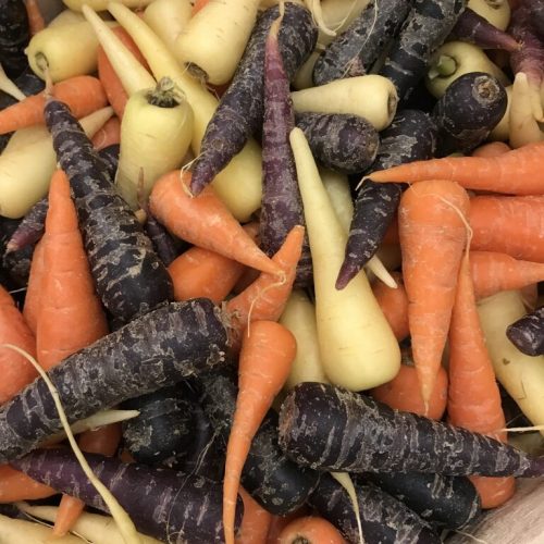 490155-Carrot-Chantenay-Mix-P1-rotated