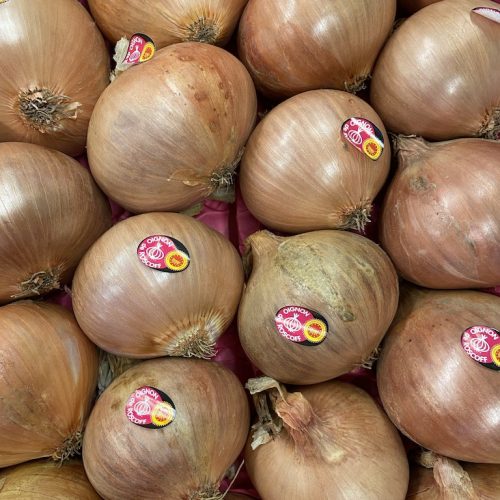 490165-Onions-Roscoff-P1