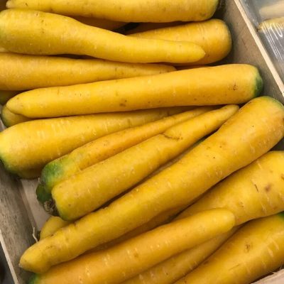 490202-Carrot-Yellow-P1-rotated