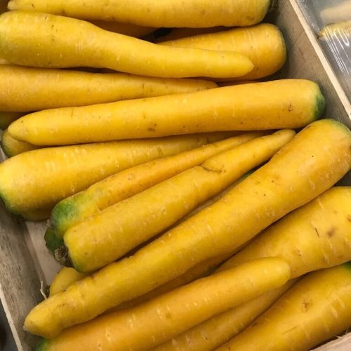 490202-Carrot-Yellow-P1-rotated