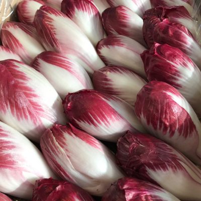 490206-Chicory-Red-Extra-P1