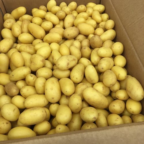 490309-Potatoes-White-Amandine-P1