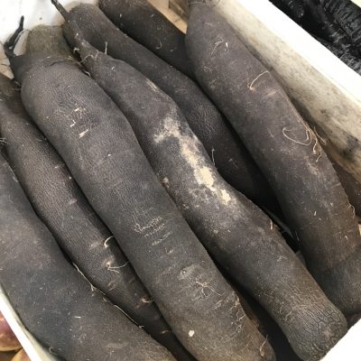 490376-Radish-Black-C1