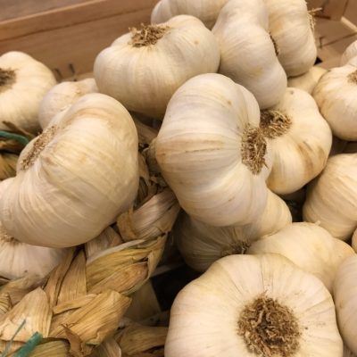 490380-Garlic-White-P1