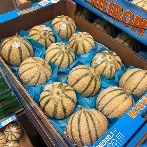 490390-Melon-Philibon-C1