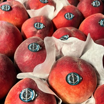 490400-Peach-White-La-Kaliste-P1