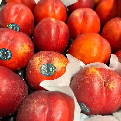 490405-Nectarine-Yellow-La-Kaliste-P1