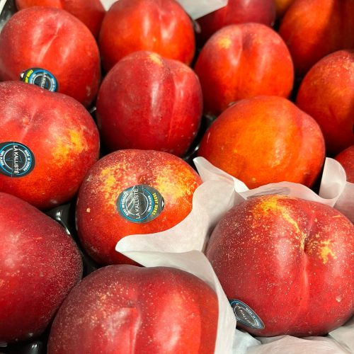 490405-Nectarine-Yellow-La-Kaliste-P1