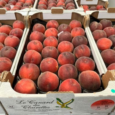 490418-Peach-White-Canard-des-Clairettes-C1