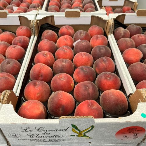 490418-Peach-White-Canard-des-Clairettes-C1