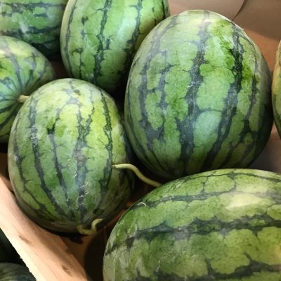 490440-Watermelon-Seedless-C1