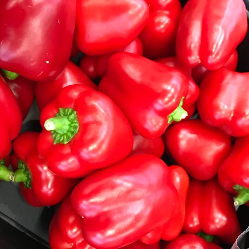 490455-Capsicum-Red-P2