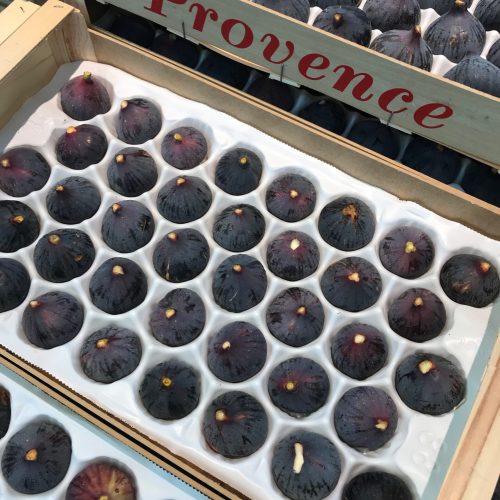 490463-Figs-Black-C1-scaled