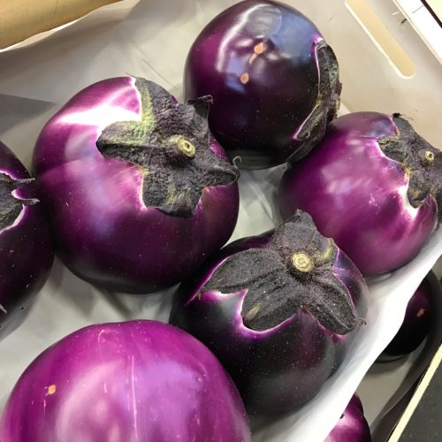 490516-Eggplant-Round-P1