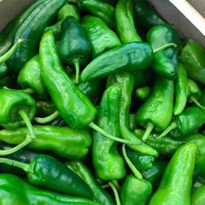 490600-Pepper-Jalapeno-Green-P1