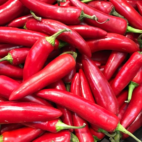 490601-Pepper-Jalapeno-Red-P1