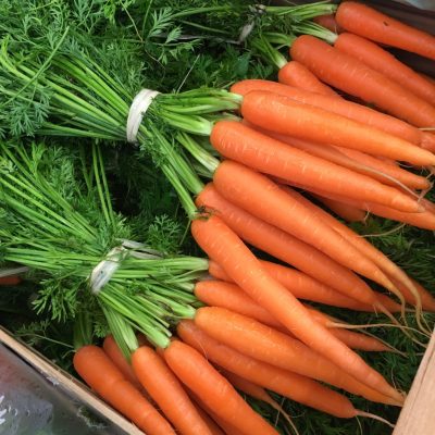 490684-Carrot-Bunch-P1
