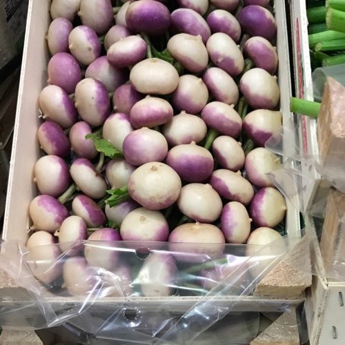 490689-Turnip-Mini-Bunch-P1