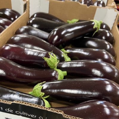 490789-Eggplant-Loose-C1-scaled