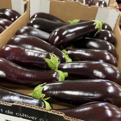 490789-Eggplant-Loose-C1-scaled