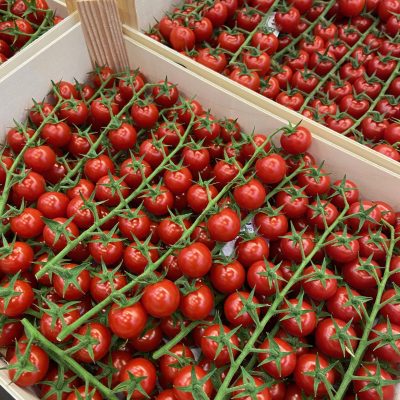 490918-Tomatoes-Cherry-On-Vine-Rabelais-P1-scaled