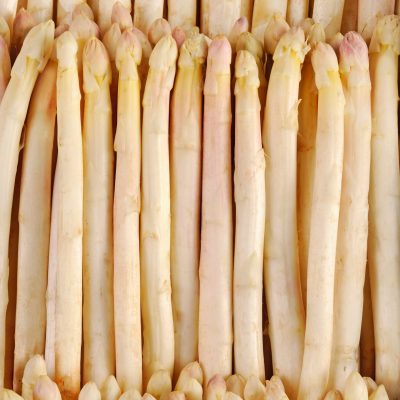 8136-ASPERGE-BLANCHE-BOTTE-MOYENNE-scaled-e1651056239797-1980x2048