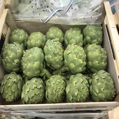 Artichokes-Calicot-P1