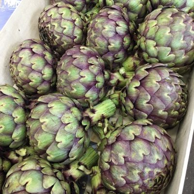 Artichokes-Cardinal-P1