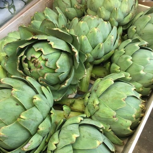 Artichokes-Castel-P1