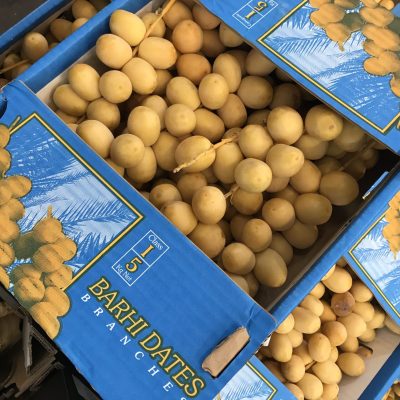 Bahri-Dates-C1-scaled