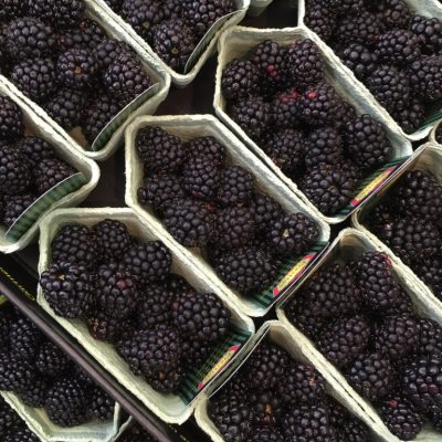 Blackberries-Punnet