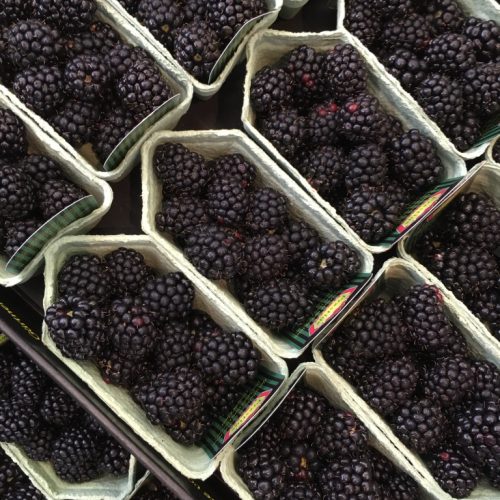 Blackberries-Punnet