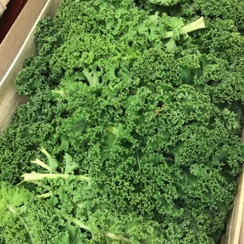 Cabbage-Kale-Green-C1