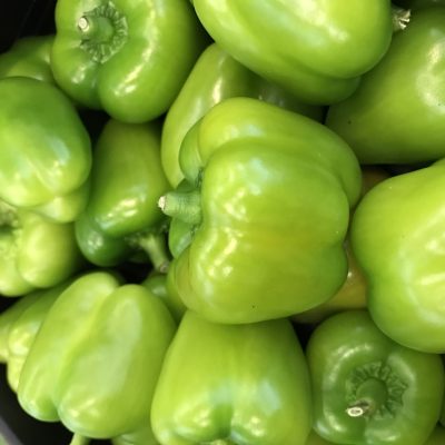 Capsicum-Green-P1