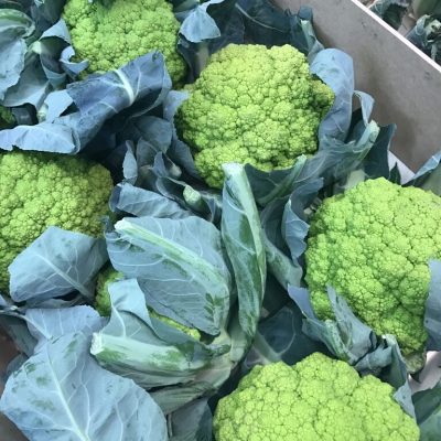 Cauliflower-Romanesco-C1-rotated